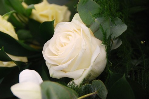 A single rose was given at the funeral